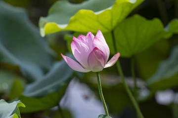 DSC_6040