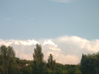 4755420