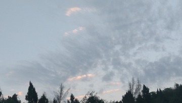 263573