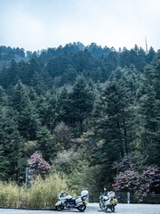1236883B-F711-4AAB-8213-0AAF0C1EEEDB/L0/001