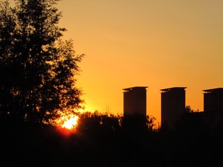 5273060