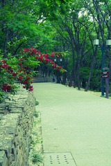 E7502280-FD71-4A2B-88C3-AE24A8EF095C/L0/001