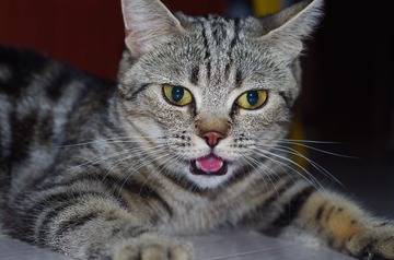517