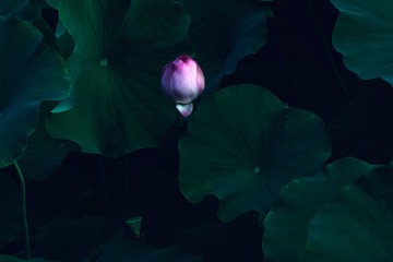 28623859-7D71-45BC-8F45-8F1C02A3FED0/L0/001
