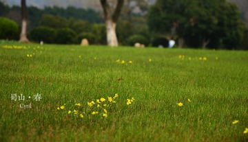 0DSC_1031.jpg