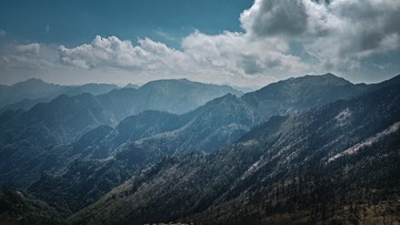 1000040767