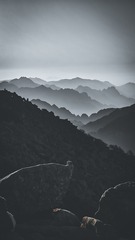 1000040815