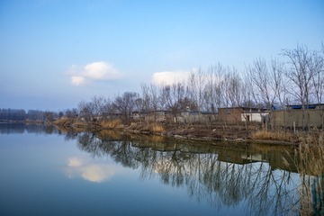 1856675