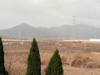 338016