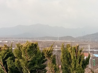 338014