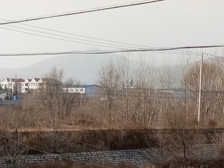338020