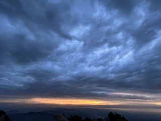 A78DD8C5-1949-40D7-890E-30CB41BC2204/L0/001