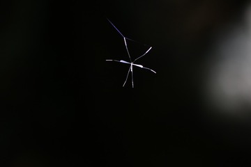 1CB4D92F-C8E8-4041-A2E1-6307E4D02868/L0/001