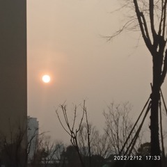 2737287