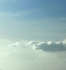 4C547721-DB52-44FD-8C1C-6C3C732088CF/L0/001