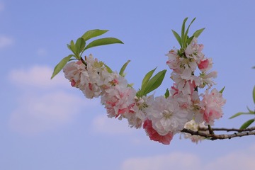 0CE4CD07-2B10-47D7-B372-A80EBFE07ACA/L0/001
