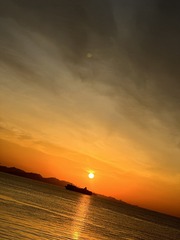 2D344784-B3D2-49AC-8E55-3CE342270224/L0/001