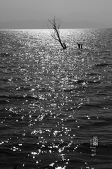IMGP1093-Edit