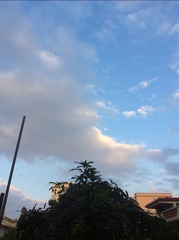 2397DC17-FB87-4D5D-B5A0-2F005F821E0A/L0/001