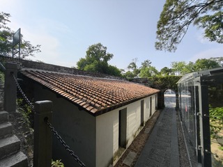 1000006105