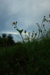 02698849-39FA-4234-AA7F-B7A77B4458DB/L0/001