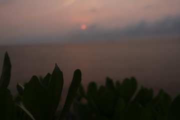 76739AD4-3CDB-429F-A3B1-1284DFFF7167/L0/001