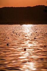 78C3B632-3977-49FE-8EE1-5217AD0832F8/L0/001