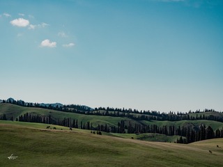 589059