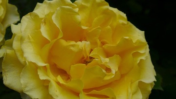 1EA5D979-2084-4032-AEB7-F91D1A4679F1/L0/001
