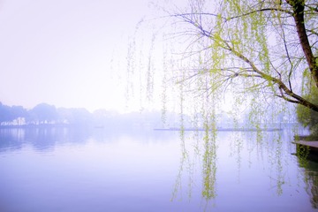 DSC_0015.jpg
