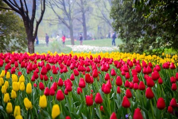 DSC_0131.jpg