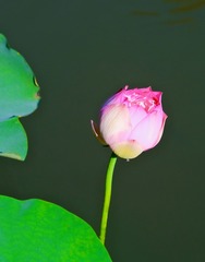 F5A5D34B-ED89-4F9E-972D-929563FDBE1E/L0/001