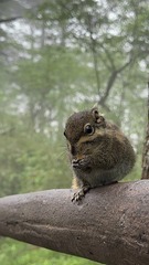 A0135640-5556-4CA9-87A8-120C13D88614/L0/001
