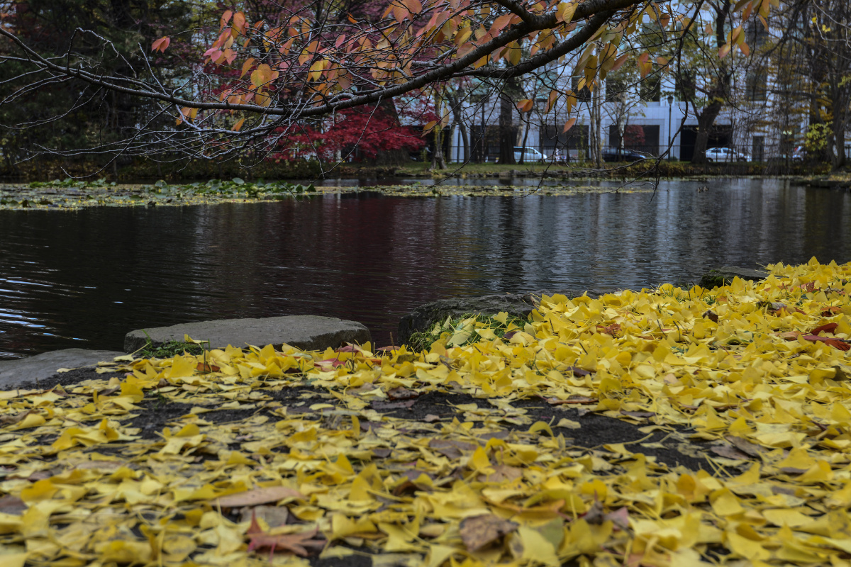 无边落木萧萧下