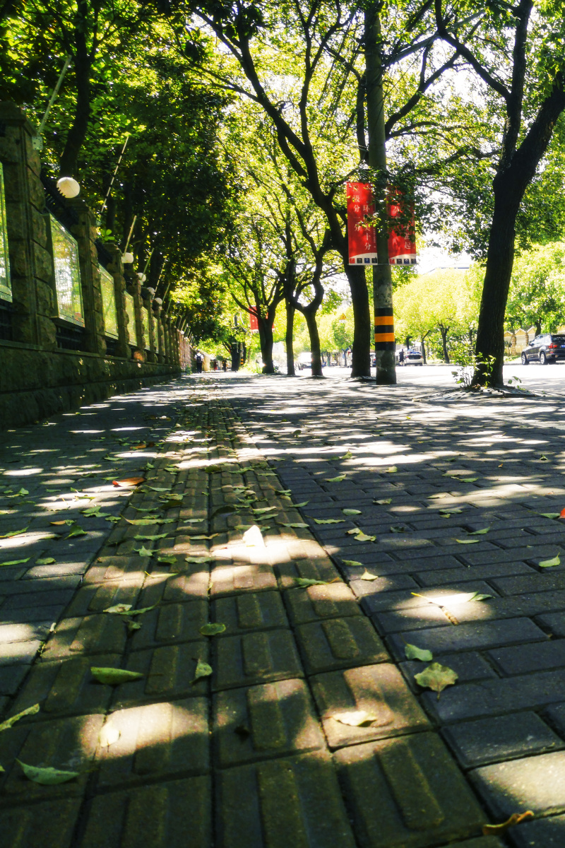 盛夏阳光的斑点