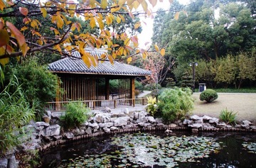 复兴岛公园1.jpg
