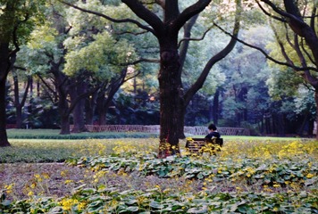 复兴岛公园2.jpg