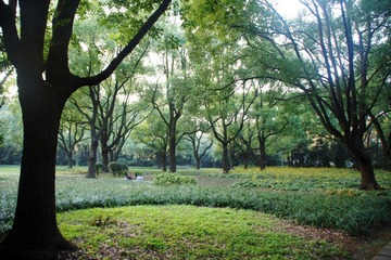 复兴岛公园3.jpg