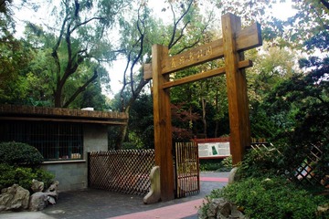 复兴岛公园7.jpg