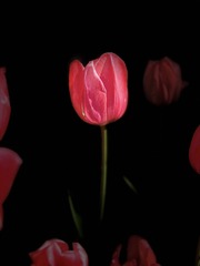 711A5852-0477-43DE-8E68-2FF5DFC0FA36/L0/001