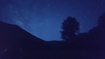 1000003790