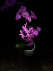 4D01206F-45EF-42A1-8D9E-704B688E0534/L0/001