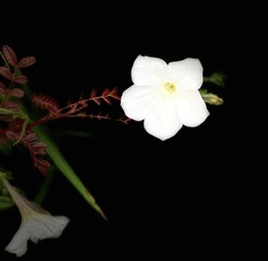 9857C6D0-F6B7-46D5-B16B-E853BE1A67D6/L0/001