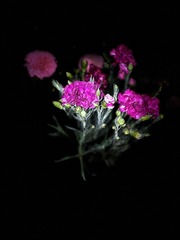 9958A6F6-86BB-4B1B-8289-C32407CDC9FC/L0/001