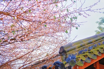 2227BF5D-78EE-42C3-A6D1-5693C7C802C5/L0/001