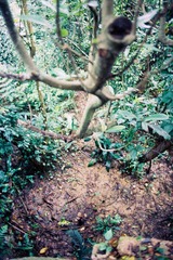 5D0273F2-CD70-435B-8B58-D73FDF403694/L0/001
