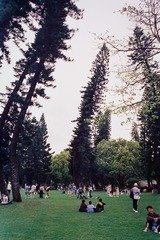 FD33A3CB-CC77-4687-9224-38A57D5561FC/L0/001
