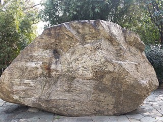 1000002817