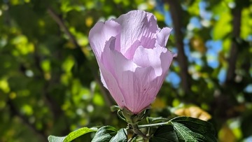 6851F671-D911-4E0F-BB97-D276DADC0CC8/L0/001