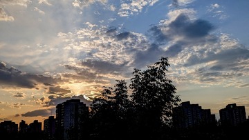 468F6CC1-8755-4438-BCD1-C8A3F1C65569/L0/001